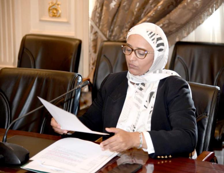 النائبة أميرة أبو شقة