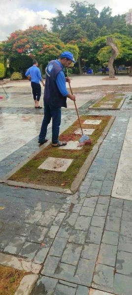 يوم للنظافة في نادى سموحة