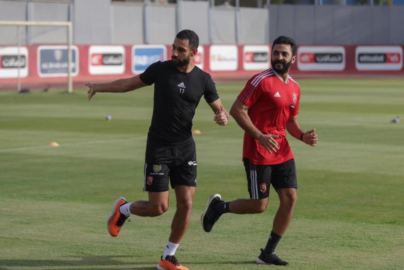 عمرو السولية