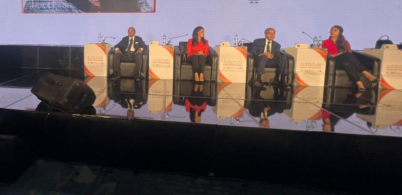 الدكتور إبراهيم عشماوي خلال المؤتمر