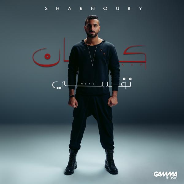 محمد الشرنوبى
