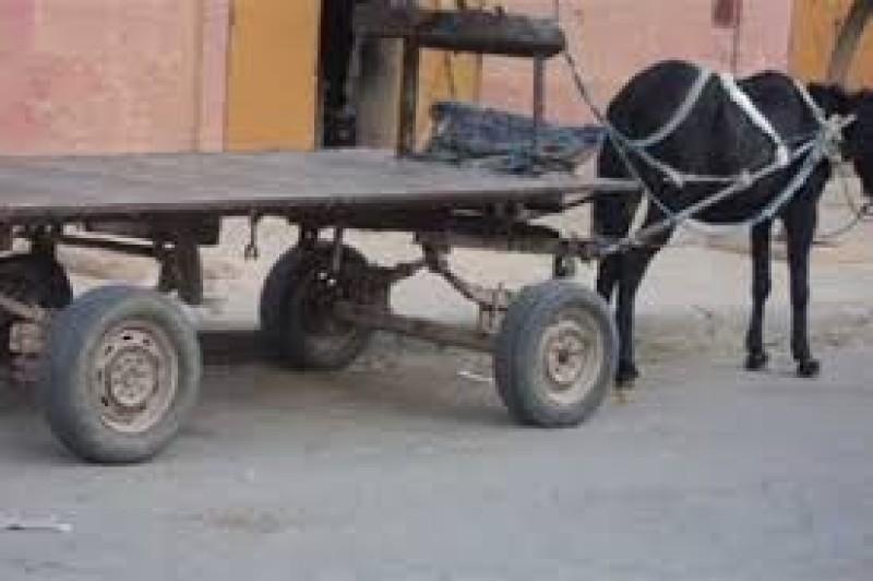 ارشفيه