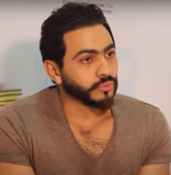 تامر حسنى