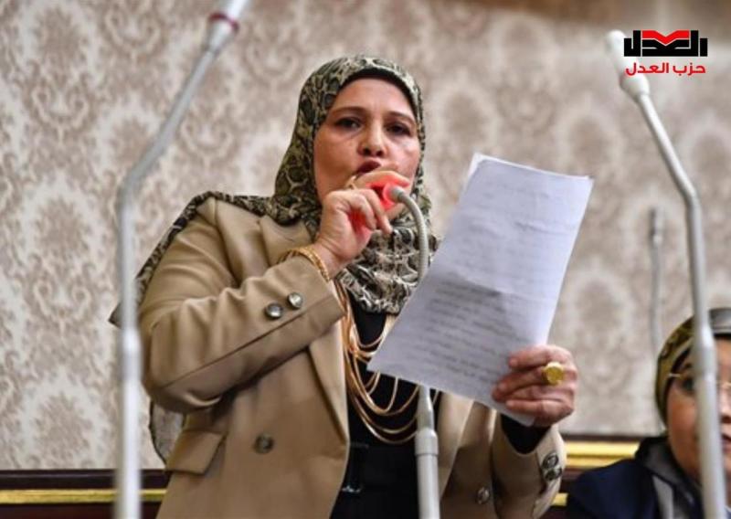 النائبة زينب السلايمي