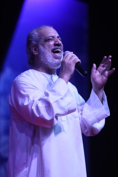 عامر التونى