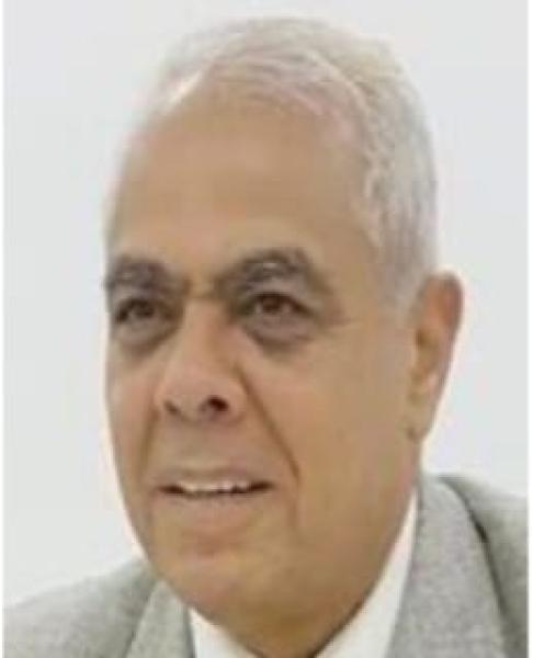 د. حسن شحاته