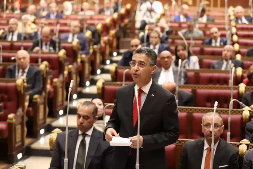 الدكتور شريف فاروق وزير التموين والتجارة الداخلية خلال جلس مجلس الشيوخ اليوم