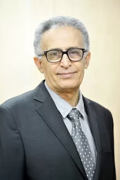 المستشار الاقتصادي مصباح قطب