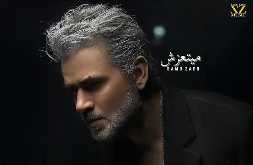 ساموزين 