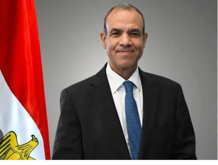 الدكتور بدر عبد العاطي وزير الخارجية