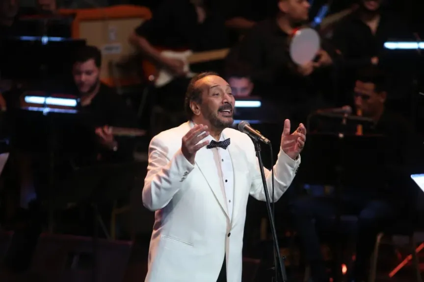 على الحجار