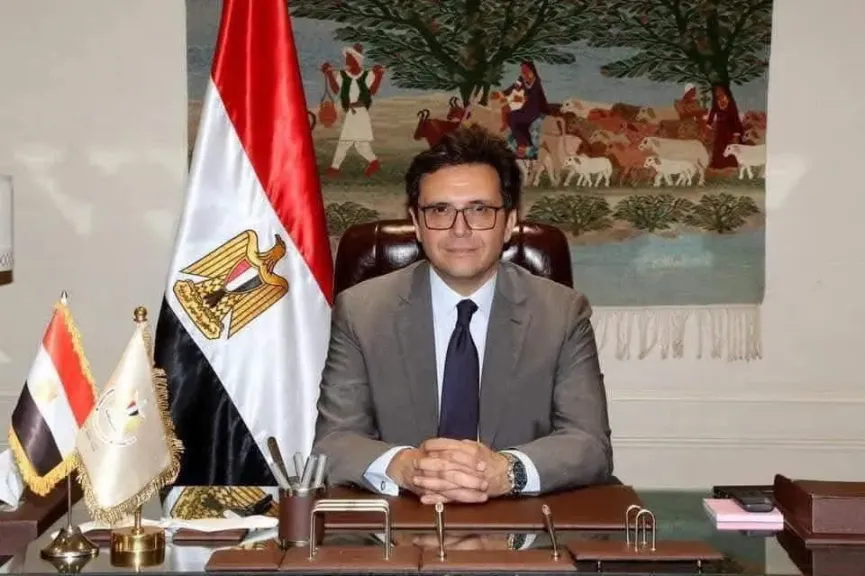 وزير الثقافة د. أحمد فؤاد هنو 