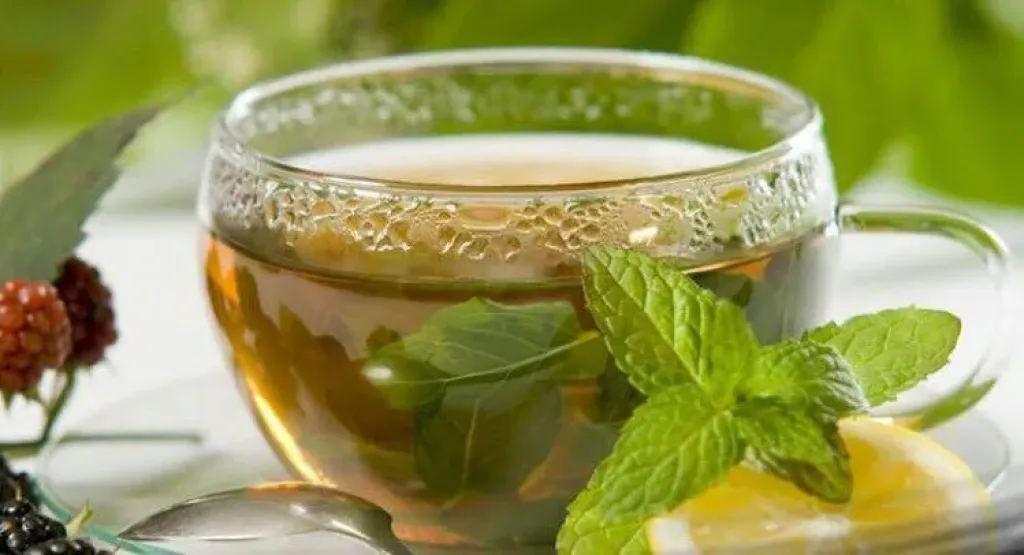 النعناع