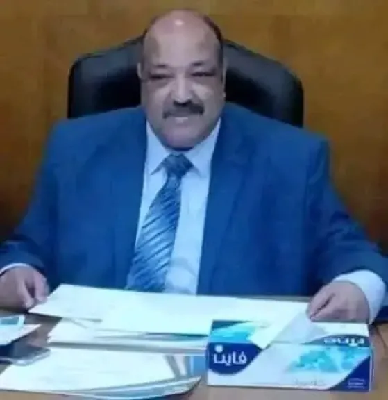 المهندس أحمد الغمري