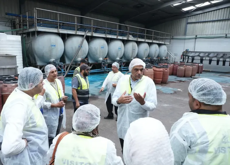 مصنع الزيتون 