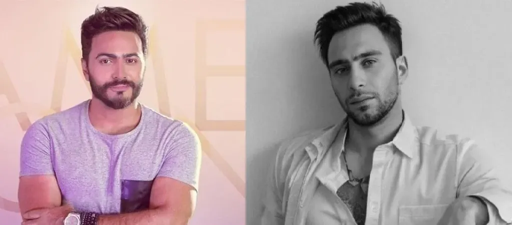 حسام حبيب وتامر حسنى