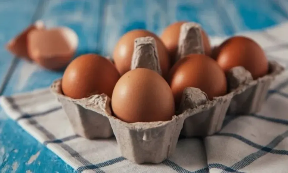 أسعار كرتونة البيض