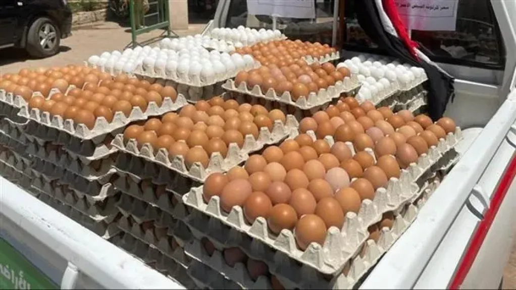  كرتونة البيض 