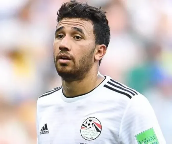 محمود حسن تريزيجيه 