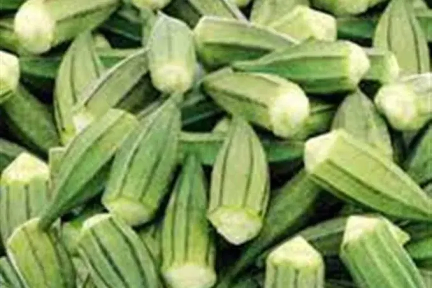 فوائد البامية 