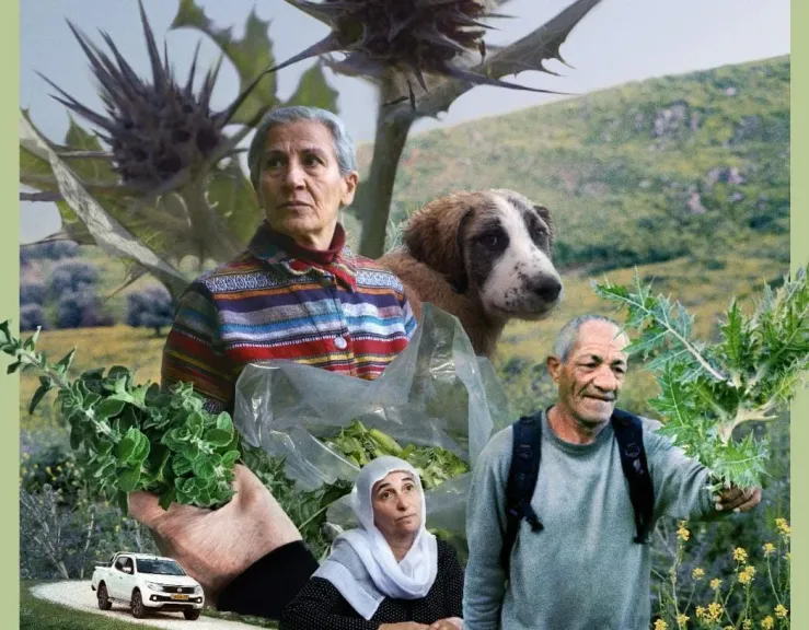 فيلم اليد الخضراء 