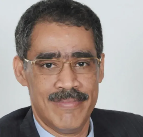 ضياء رشوان وزير الإعلام 