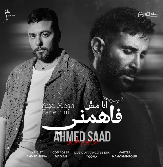 أحمد سعد ومدين