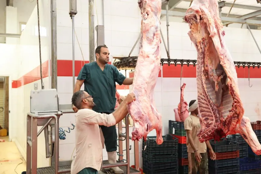 عمليات ذبح وتوزيع لحوم الأضاحي