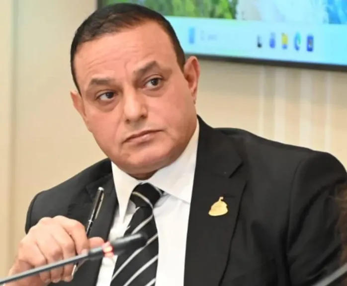 النائب مختار همام مرسى 