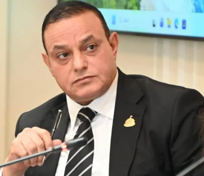 النائب مختار همام 