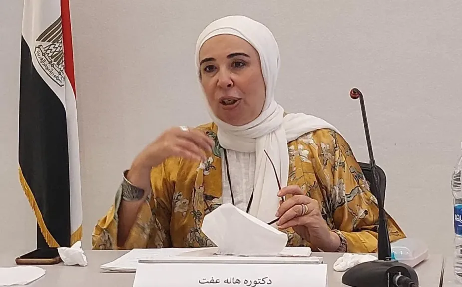 الكاتبة الدكتورة هالة عفت 