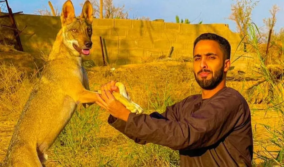 عامر التميمي 