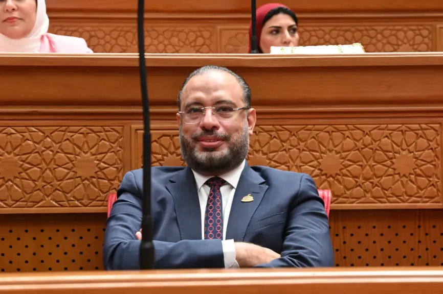 النائب الدكتور أحمد السبكي 