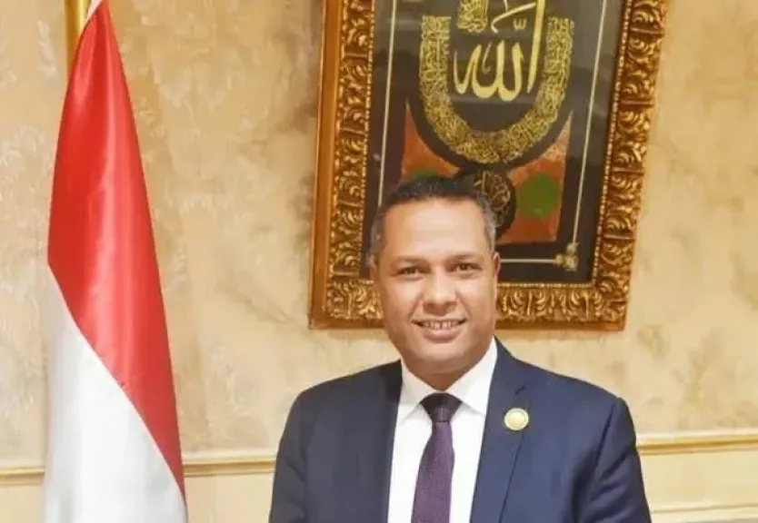 النائب محمد حمزة 